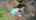 Blurred preview of media: 52BulkeleyRoad_MLS_v1