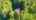 Blurred preview of media: 14AnneTeresaWay_MLS_v1