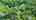 Blurred preview of media: 14125 Regiopnal Rd. 57, Blackstock