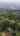 Blurred preview of media: 13948 NW Country Woods Ln Unbranded