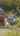 Blurred preview of media: 25NaplesRoad_MLS_v1