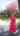 Blurred preview of media: 99BeaverRoad_Branded_v1