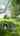 Blurred preview of media: 32OsgoodRoad_Branded_v1