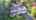 Blurred preview of media: 27VoseHillRoad_MLS_v1