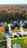 Blurred preview of media: Summer_Vid