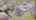 Blurred preview of media: 329WarrenStreet_MLS_v1