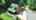 Blurred preview of media: 485 Johnson St, China Grove, NC 28023