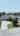 Blurred preview of media: Branded Nuevo