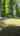 Blurred preview of media: 1169 Terry Video
