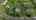 Blurred preview of media: 705_Elaine_Dr