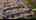 Blurred preview of media: 7726 Sassafras Trail NIAGARA FALLS 