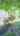 Blurred preview of media: 36WestlandFarmRoad_MLS_v1