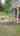 Blurred preview of media: 2193 Tollisontown Reel
