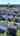 Blurred preview of media: 22 Corliss Ave, Manahawkin, New Jersey, NJ