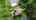 Blurred preview of media: 8056 St Andrews Lane Branded