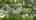 Blurred preview of media: 7308 Dartmouth Ave