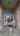 Blurred preview of media: 20141 Video rev 1