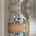Blurred preview of media: 13813 Richards St FT