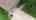 Blurred preview of media: 7 Ignatz St, Mildmay, ON