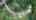 Blurred preview of media: 111 Golf Course Full