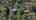 Blurred preview of media: 265 NW Royal Blvd