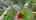 Blurred preview of media: 11 William St 