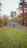 Blurred preview of media: 771ConantRoad_MLS_v1