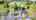 Blurred preview of media: Blaine 8285 Unbranded
