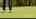 Blurred preview of media: Done 1