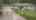 Blurred preview of media: 455 Forest Valley Rd