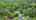 Blurred preview of media: 10EastStreet_MLS_v1