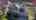 Blurred preview of media: 182_Alekxander_Lane_unbranded