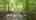Blurred preview of media: 8209_bud_morris_rd_wake_forest_nc