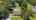 Blurred preview of media: 05143e09-c51e-48bd-a705-3d9be5249183