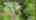 Blurred preview of media: 97SterrlingStreet_MLS_v2