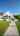 Blurred preview of media: Colt New