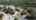 Blurred preview of media: 409 Paradise Point SWVA BRAND