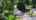 Blurred preview of media: 311 NW 96th St, Vancouver, Washington Unbranded