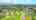 Blurred preview of media: 16-733 Uhiuhi Street, Keaau, HI VIDEO-001
