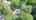 Blurred preview of media: 5TavernLane_MLS_v2