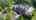 Blurred preview of media: 106_Ashley_Ct