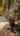 Blurred preview of media: 18525 Columbia Ave