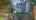 Blurred preview of media: ketcham-in-focus-belleview-listing-video