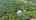 Blurred preview of media: 4586 W Fountain Rd, Joplin MO