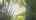 Blurred preview of media: 734 Glorietta Blvd UB