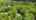 Blurred preview of media: 5MyrtleDriveFull_MLS_v1