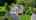 Blurred preview of media: 224 China Cir, West Grove, PA 19390