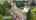 Blurred preview of media: 1840_rees_hill_rd_se_salem,_oregon_#19_unbranded_v1