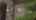 Blurred preview of media: 2224 E Coyote Dr