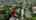 Blurred preview of media: 178